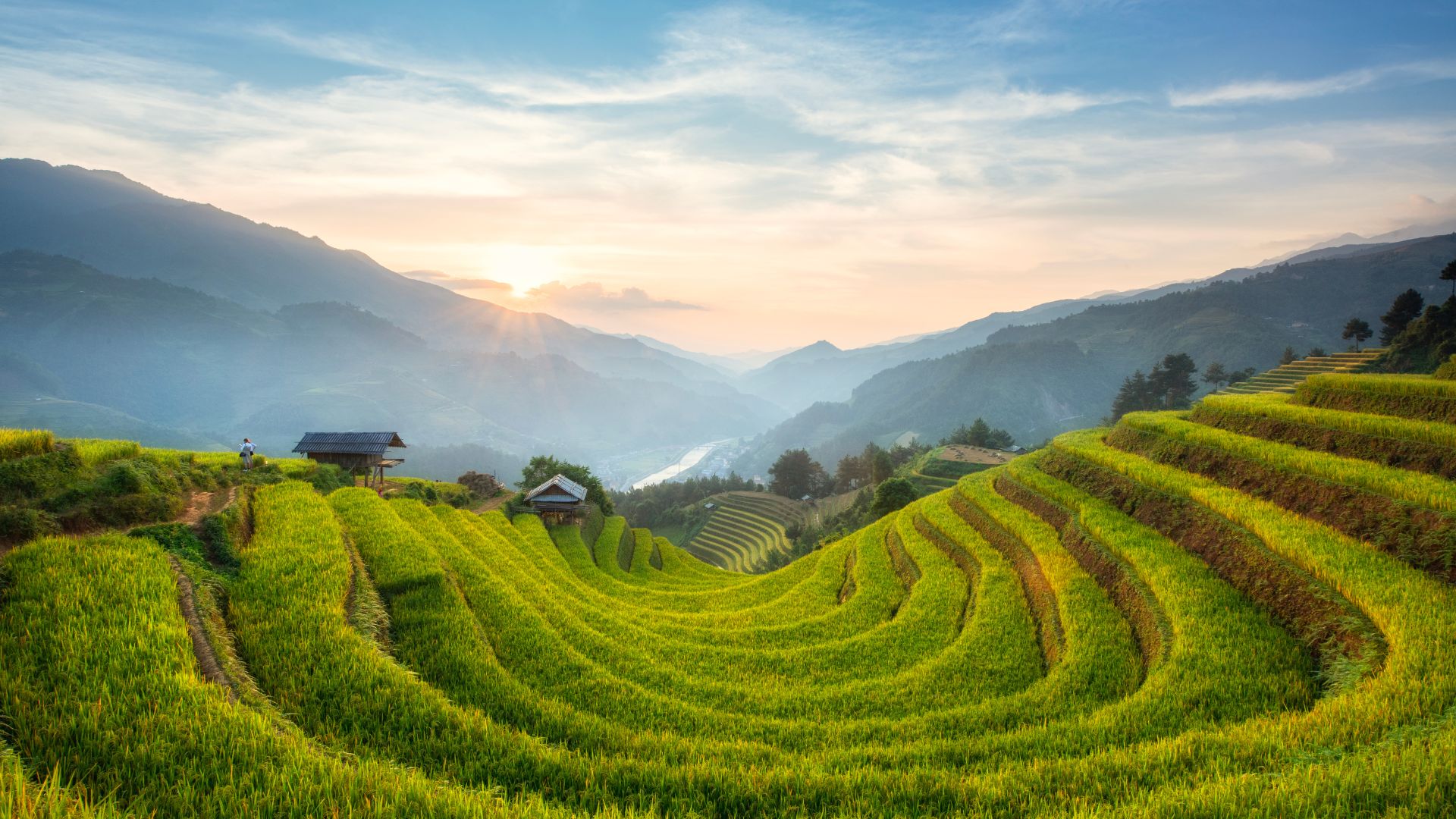 Mu Cang Chai